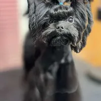 processed/081674e9-4cd9-451b-96f2-3e555ebd879e/facility/361fb683-aee1-454a-81a7-d877cf351338