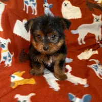 processed/081674e9-4cd9-451b-96f2-3e555ebd879e/facility/6a6dd15a-e136-4a86-861f-d7563cd664fa