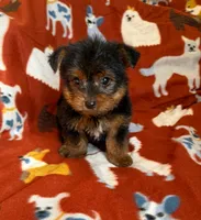 processed/081674e9-4cd9-451b-96f2-3e555ebd879e/facility/6a6dd15a-e136-4a86-861f-d7563cd664fa