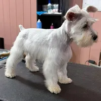 processed/081674e9-4cd9-451b-96f2-3e555ebd879e/facility/77bea269-13cc-46ff-b7d6-cc589c9a4afc