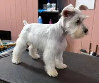 processed/081674e9-4cd9-451b-96f2-3e555ebd879e/facility/77bea269-13cc-46ff-b7d6-cc589c9a4afc