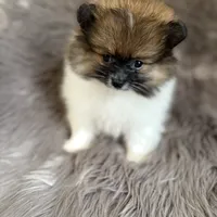 processed/081674e9-4cd9-451b-96f2-3e555ebd879e/facility/854b7f0c-ecf7-497a-93f5-550fae6dc8a5