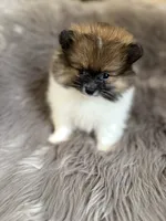 processed/081674e9-4cd9-451b-96f2-3e555ebd879e/facility/854b7f0c-ecf7-497a-93f5-550fae6dc8a5