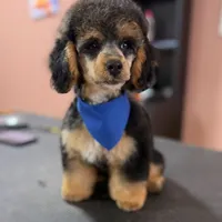 processed/081674e9-4cd9-451b-96f2-3e555ebd879e/facility/a44c58c0-0a54-4e5a-95ee-a0b8439bc1dd