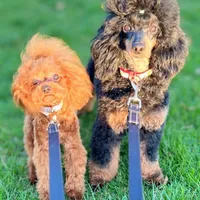 processed/081674e9-4cd9-451b-96f2-3e555ebd879e/facility/b51c1ead-a32a-40a6-bcc2-a8f4e3d4012f