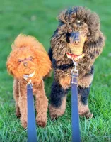 processed/081674e9-4cd9-451b-96f2-3e555ebd879e/facility/b51c1ead-a32a-40a6-bcc2-a8f4e3d4012f