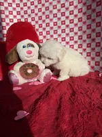 processed/081674e9-4cd9-451b-96f2-3e555ebd879e/listing/e2ec8962-0f7f-4790-b14f-a26a19760891/32fc507a-0b67-491b-9834-458612c15872