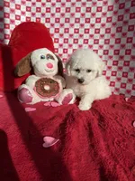 processed/081674e9-4cd9-451b-96f2-3e555ebd879e/listing/e2ec8962-0f7f-4790-b14f-a26a19760891/834de595-74ee-4532-8f39-084fd76607ae