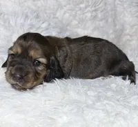 processed/0838f822-a8ab-4a3d-ac68-87dd32a3f490/listing/0dc6700b-e0bb-4622-bd0c-02deb7988ed3/68a8ccc2-6920-4607-971c-64fd6dd1b96e