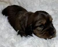 processed/0838f822-a8ab-4a3d-ac68-87dd32a3f490/listing/0dc6700b-e0bb-4622-bd0c-02deb7988ed3/875c4b9f-ef59-4de5-8450-baad1d4d7804