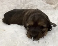 processed/0838f822-a8ab-4a3d-ac68-87dd32a3f490/listing/0dc6700b-e0bb-4622-bd0c-02deb7988ed3/a8ce8545-2642-4a73-ac83-1d0bc29d50c0