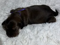 processed/0838f822-a8ab-4a3d-ac68-87dd32a3f490/listing/0dc6700b-e0bb-4622-bd0c-02deb7988ed3/b739d1a1-50b1-4d21-8f56-eebf18ad2719