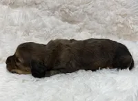 processed/0838f822-a8ab-4a3d-ac68-87dd32a3f490/listing/0dc6700b-e0bb-4622-bd0c-02deb7988ed3/cee0433f-348e-4808-8a46-8a2be355a909