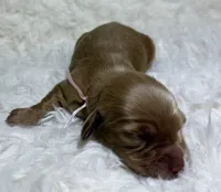 processed/0838f822-a8ab-4a3d-ac68-87dd32a3f490/listing/7e8d7eae-23ac-421b-8d64-37e00419f99f/35081443-62dc-45c8-9bfd-865848d9252c