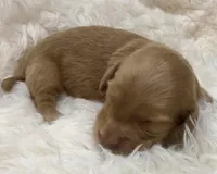 processed/0838f822-a8ab-4a3d-ac68-87dd32a3f490/listing/7e8d7eae-23ac-421b-8d64-37e00419f99f/41db7f1a-53f8-4fcb-a82d-e332e6479a35