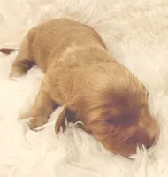 processed/0838f822-a8ab-4a3d-ac68-87dd32a3f490/listing/7e8d7eae-23ac-421b-8d64-37e00419f99f/5b41b9b8-33ae-4a79-9760-b79c04be0a32