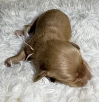 processed/0838f822-a8ab-4a3d-ac68-87dd32a3f490/listing/7e8d7eae-23ac-421b-8d64-37e00419f99f/67505403-e538-4e51-87b2-be9be42a4683