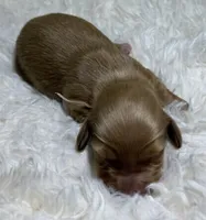 processed/0838f822-a8ab-4a3d-ac68-87dd32a3f490/listing/7e8d7eae-23ac-421b-8d64-37e00419f99f/71fe29ee-6f50-43fd-bb0d-67a5e858896a