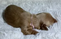 processed/0838f822-a8ab-4a3d-ac68-87dd32a3f490/listing/7e8d7eae-23ac-421b-8d64-37e00419f99f/ba727271-9d74-4e9b-8224-577bbdad72d8