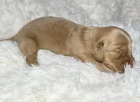 processed/0838f822-a8ab-4a3d-ac68-87dd32a3f490/listing/7e8d7eae-23ac-421b-8d64-37e00419f99f/c02092fd-93f7-4abb-b919-279ab6034c35