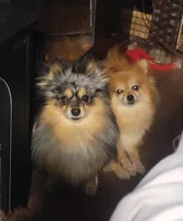 processed/083fa3bd-72f0-467c-93df-657bd696bf16/listing/5c6015b5-82ba-4679-8a0c-af02fd99e167/30d970c7-1401-4d84-bab3-bb217436dcdf