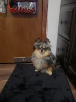 processed/083fa3bd-72f0-467c-93df-657bd696bf16/listing/5c6015b5-82ba-4679-8a0c-af02fd99e167/7abd498d-bee0-4617-9410-f6492b1e3acd