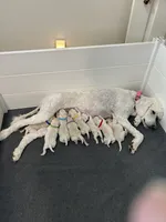 Facility photo