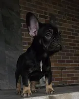 processed/08494075-b077-40d6-8ffd-56593ded7ddf/listing/a48d86e2-8fb1-4a32-b6e1-baa28fe1aab2/4ff8fac9-d636-4394-a405-6d234d278698