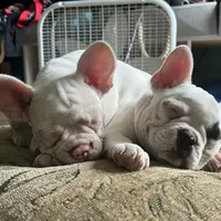 processed/084f842d-716d-447f-af22-dff86cc3676c/facility/8eb17de5-38d5-4902-94a0-9fcd4ffe2054