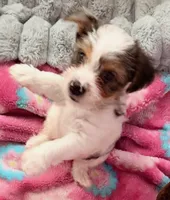 processed/085523ed-40a2-4fca-be9c-d48992f7315d/listing/ae671764-65a4-4bec-8bc3-2d03259ec7fc/106994bd-c830-4f0d-b051-8595221cc694