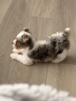 processed/085523ed-40a2-4fca-be9c-d48992f7315d/listing/ae671764-65a4-4bec-8bc3-2d03259ec7fc/4ee9a29c-ab65-4254-8ed7-f954a2d79029