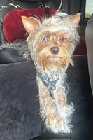 processed/085523ed-40a2-4fca-be9c-d48992f7315d/listing/ae671764-65a4-4bec-8bc3-2d03259ec7fc/815531f1-d19c-421d-8c11-2c98208ec7db