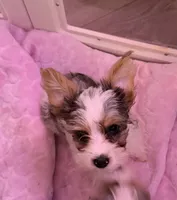 processed/085523ed-40a2-4fca-be9c-d48992f7315d/listing/ae671764-65a4-4bec-8bc3-2d03259ec7fc/8ad6d14d-2884-4955-94d0-b362335f3e50