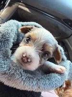 processed/085523ed-40a2-4fca-be9c-d48992f7315d/listing/ae671764-65a4-4bec-8bc3-2d03259ec7fc/b7a4c032-12fc-449c-8c22-2f16c226adbe