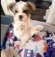 processed/085523ed-40a2-4fca-be9c-d48992f7315d/listing/ae671764-65a4-4bec-8bc3-2d03259ec7fc/cc89f8ab-cc53-42af-b954-2d3a2a5dc8f8