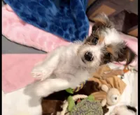 processed/085523ed-40a2-4fca-be9c-d48992f7315d/listing/c80e1859-a040-4023-abeb-c59ec1b4e558/62a8d25e-6ab6-4701-a61e-8d5f5ed6a33d