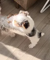 processed/085523ed-40a2-4fca-be9c-d48992f7315d/listing/c80e1859-a040-4023-abeb-c59ec1b4e558/705e444b-49c7-4767-8d76-c8eb1ec24ea3