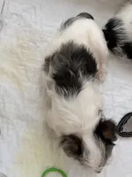 processed/085523ed-40a2-4fca-be9c-d48992f7315d/listing/c80e1859-a040-4023-abeb-c59ec1b4e558/79786dc6-8127-473f-a47e-2eef4ae7f0b4