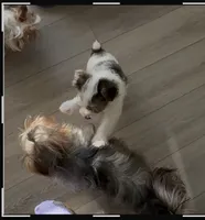 processed/085523ed-40a2-4fca-be9c-d48992f7315d/listing/c80e1859-a040-4023-abeb-c59ec1b4e558/7dc9b9c5-233a-46c8-a2ff-4de5b756a76e