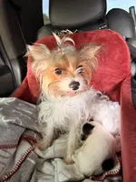 processed/085523ed-40a2-4fca-be9c-d48992f7315d/listing/c80e1859-a040-4023-abeb-c59ec1b4e558/89874259-c124-45fe-97bb-06154b80d0c8