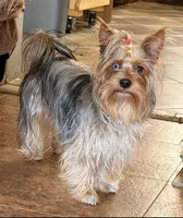 processed/085523ed-40a2-4fca-be9c-d48992f7315d/listing/c80e1859-a040-4023-abeb-c59ec1b4e558/a976512d-b744-44d5-9753-8117ad51e8d4