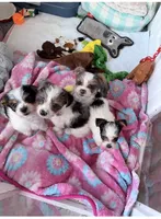 processed/085523ed-40a2-4fca-be9c-d48992f7315d/listing/c80e1859-a040-4023-abeb-c59ec1b4e558/db4a4c55-1799-4fa3-ab25-ff387f85206d