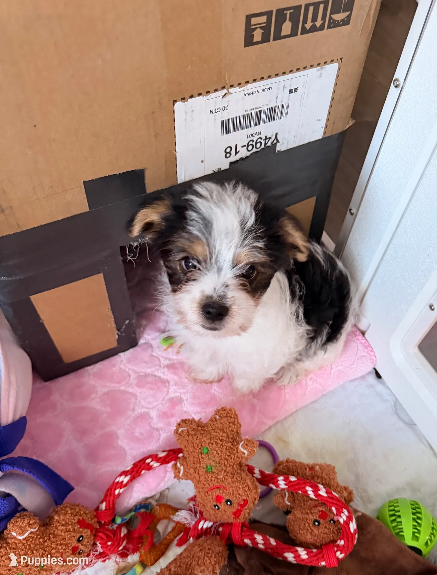 processed/085523ed-40a2-4fca-be9c-d48992f7315d/listing/d7b78794-47c7-4f26-b72b-8de995b2988a/313221e7-ab34-44ab-8441-c1dd7214d9a8