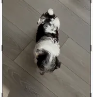 processed/085523ed-40a2-4fca-be9c-d48992f7315d/listing/d7b78794-47c7-4f26-b72b-8de995b2988a/44b9a0c8-84a2-4dca-a87a-fab04010845b