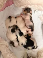 processed/085523ed-40a2-4fca-be9c-d48992f7315d/listing/d7b78794-47c7-4f26-b72b-8de995b2988a/917b4990-3fa7-403e-b0ea-910fc9fa6991