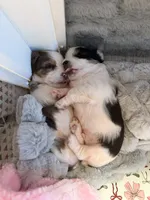 processed/085523ed-40a2-4fca-be9c-d48992f7315d/listing/d7b78794-47c7-4f26-b72b-8de995b2988a/94286810-9267-4efa-b70d-cf5a5ce25927