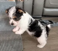 processed/085523ed-40a2-4fca-be9c-d48992f7315d/listing/d7b78794-47c7-4f26-b72b-8de995b2988a/9821ed2d-fae7-4e7e-9671-aafbbc37b69d