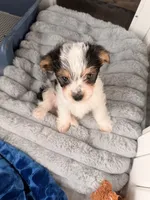 processed/085523ed-40a2-4fca-be9c-d48992f7315d/listing/d7b78794-47c7-4f26-b72b-8de995b2988a/9e45d982-9102-4363-9689-7e98fdfc11ae