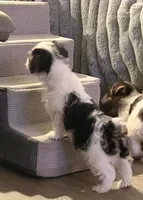 processed/085523ed-40a2-4fca-be9c-d48992f7315d/listing/d7b78794-47c7-4f26-b72b-8de995b2988a/bb6c4fe7-7814-4da3-ba33-68ea206db751