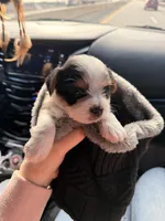 processed/085523ed-40a2-4fca-be9c-d48992f7315d/listing/d7b78794-47c7-4f26-b72b-8de995b2988a/cdb44a21-9ce8-41e8-98dd-61521035c945